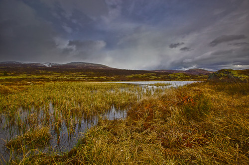 nationalpark norwegen hdr dovrefjell kalendermotiv2012