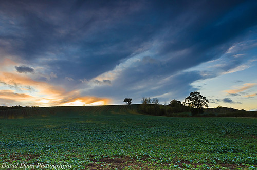 uk autumn sky tree field rural dawn countryside oak nikon nikkor warwickshire vr 2011 warks 1685mm d7000 shelfield jactollautumn