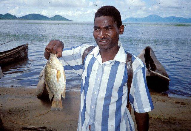 Small-scale fisheries, Lake Chilwa, Malawi. Photo by Randall Brummett, 2002
