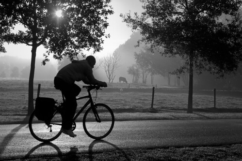 morning holland netherlands bike bicycle fog sunrise enschede universityoftwente