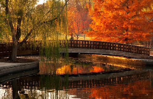 bridge autumn orange lake reflection tree fall nature water yellow zeiss landscape japanese colorful sony lagoon foliage kansascity missouri cypress weepingwillow za japanesebridge weeping loosepark willowtree carlzeiss 2011 variosonnar a700 alphadslra700 variosonnartdt35451680 zeissphk12 “zeissphk12” missourifallfoliage