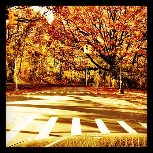 square squareformat hefe iphoneography instagramapp uploaded:by=instagram foursquare:venue=4ae884c0f964a5200eb021e3