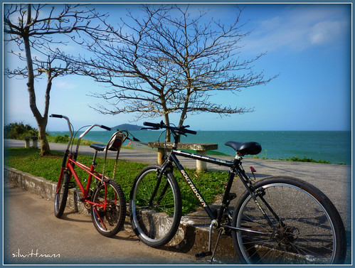 trees sea brazil sky beach sc brasil way bikes atlantic stop bikeride penha praiadoquilombo