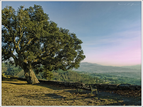 sky muro castle wall bench view hill banco medieval castro cielo vista monte colina soutomaior castillo hillfort hillock oppidum alcornoque redondela quercussuber oviso sobreira mygearandme castrodapeneda mygearandmepremium