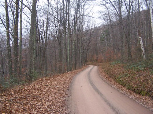 road forest state tioga andyarthur painterleetonia