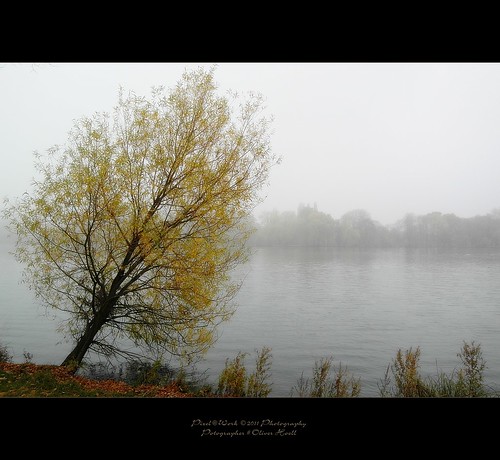 trees lake nature photoshop canon landscape eos yahoo google flickr raw image © hannover adobe atmospheric lightroom copyrighted maschsee pixelwork 500px ilovemypics thelightpainterssociety oliverhoell theacademytreealley pixelwork©11photography allphotoscopyrighted