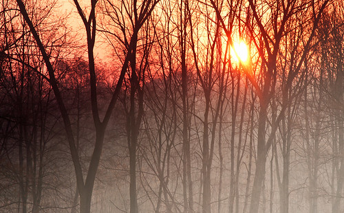 mist sunrise foto poland krakow