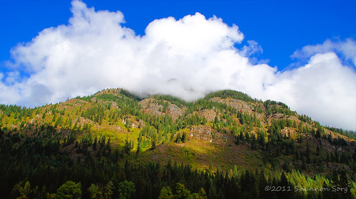 trees mountain fall colors weather montana sony foliage northwestern dslr clounds tamronlens