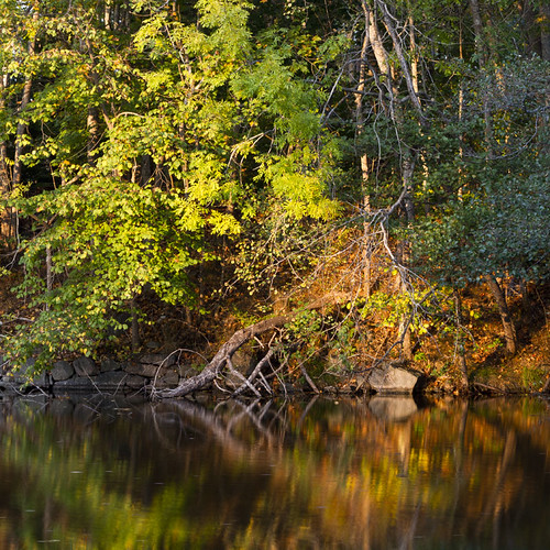 autumn trees reflections river colours canon50mmf14usm canoneos7d