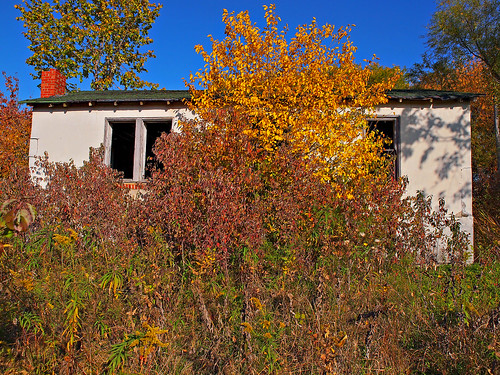 road family autumn trees usa house fall abandoned home nature overgrown loss rural landscape weeds memories missouri jungle moved lose lifes overgrowth fail christenberry williamchristenberry evict fotoedge