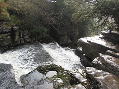 Top of Thornton Force