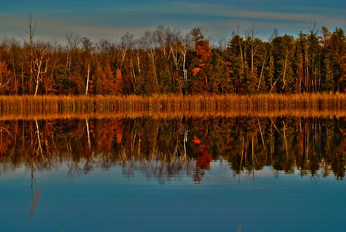 autumn trees reflection fall nature leaves wisconsin nikon peace outdoor bog cedarburg d3000
