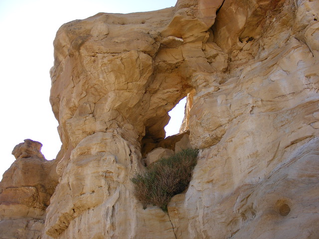 New Mexico Natural Arch NM-290