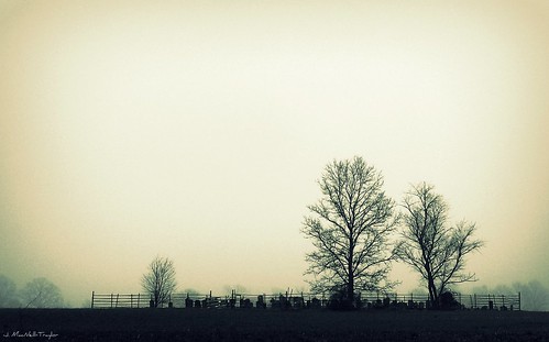 cemetery pennsylvania country foggy spooky pa lancaster