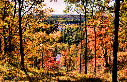 autumn trees orange fall view ridge stlouisriver jaycooke oldenburgpoint ogantztrail