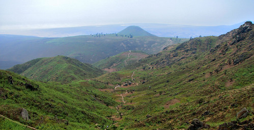 nature landscape photography photo lima paisaje perú ced lomas reserva huaura lachay