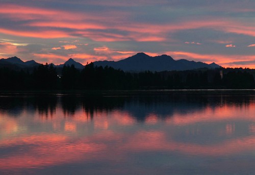 pink light sunset sky cloud mountain lake alps reflection tree nature berg rose see licht glow sonnenuntergang natur rosa himmel wolke lila alpen spiegelung baum reflektion afterglow abendrot dorenawm lechstausee