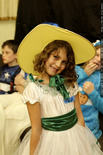 southern belle costume    MG 7200