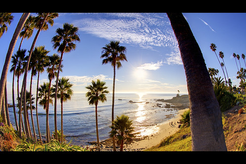 ocean california sunset sky usa cloud seascape beach canon landscape photography view unitedstates wideangle fisheye palmtree orangecounty lagunabeach ericlo heislerpark eos5dmarkii ef815mmf4lfisheyeusm