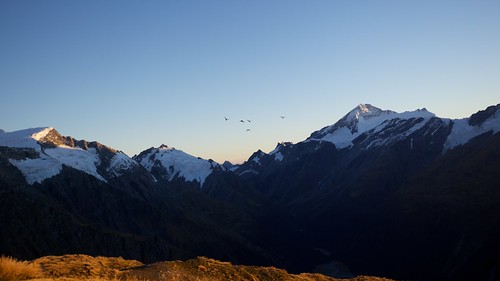 newzealand mountains animals landscape glacier sunrisesunset kea mtaspiringnationalpark teararoa thelongpathway