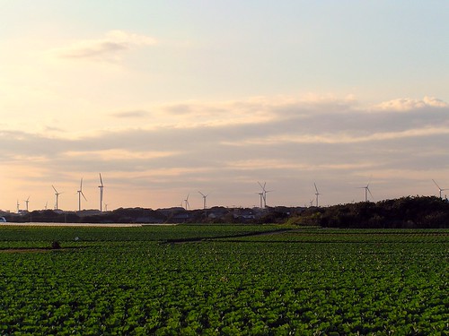 sunset cloudy cabbage windfarm cloudssky cabbagefield gettyimagesjapanq4
