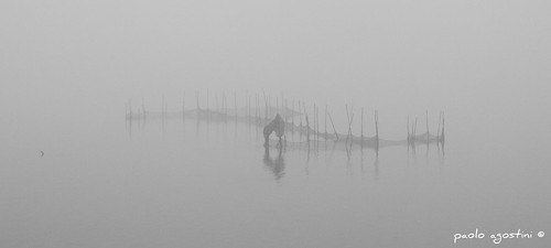 bw net fog reflections gm lagoon bn explore laguna pali nebbia riflessi chioggia valli reti dedicata lagunaveneta nellanebbia supercontest lagunasud nellanebbiainthefog