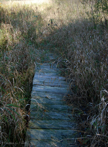 harmony wi woodswalk harmonyhardwoods harmonyarboretum harmonyhardwoodsmemorialforest