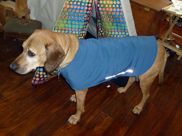 patterns for dog coats | eBay - Electronics, Cars, Fashion