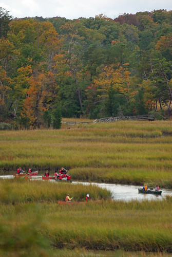 Weather permitting, guests can rent canoes & kayaks until mid November at York River State Park.