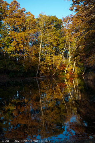 autumn trees lake color fall water georgia retreat 2012 campfortson