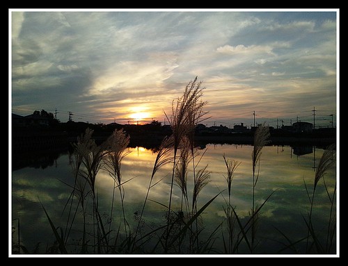 autumn sunset color nature japan landscape country 日本 夕日 携帯電話 kakogawa 加古川 softbankgalapagos gettyimagesjapan12q1