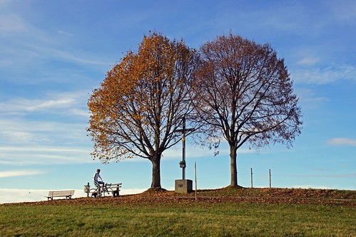 autumn man tree green bike bayern bavaria cross herbst rad meadow wiese kreuz biker mann grün bäume baum radfahrer steingaden dorenawm