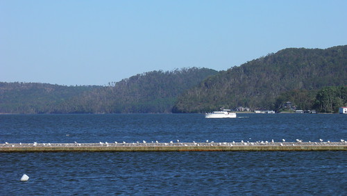 blue water landscape boat alabama lakeguntersville