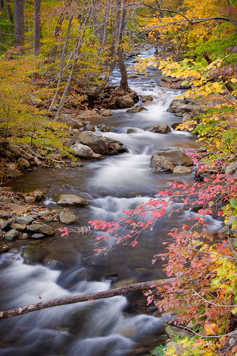 park longexposure autumn fall water colors leaves creek virginia waterfall soft hike shenandoah whiteoakcanyon ☆thepowerofnow☆