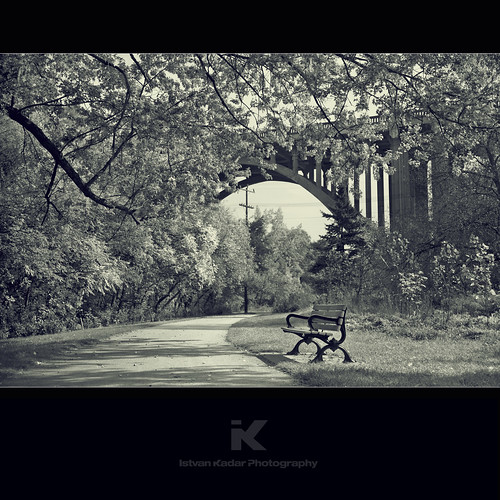 park autumn bw tree fall bench solitude empty tranquility nopeople lonely
