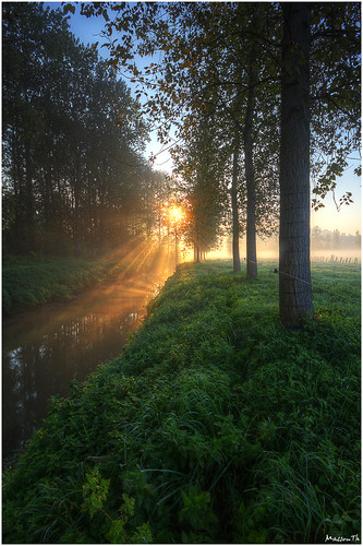 trees sunset brussels green canon river eos belgium belgie hdr senne zenne 60d drogenbos