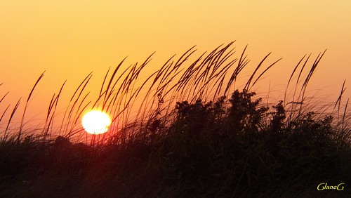 sunset beach grass october northumberland cape straight breton photomaybefreelycopiedandusedforpositivepurposes