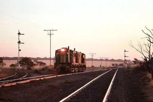 train diesel south transport rail railway australia locomotive freight broadgauge sar830classdiesel