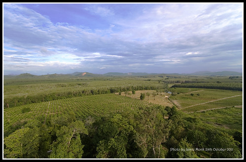 View from 360 Degree Coffee