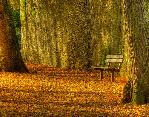 autumn fall bench seat finepix fujifilm rest winchester hdr andylatt hs20exr dscf109567t