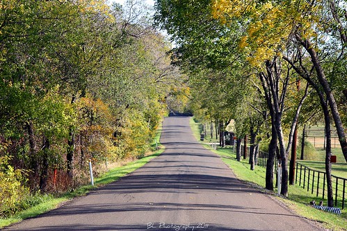 road ranch plant tree fall nature leaves season landscape design leaf branch pavement farm country neighborhood