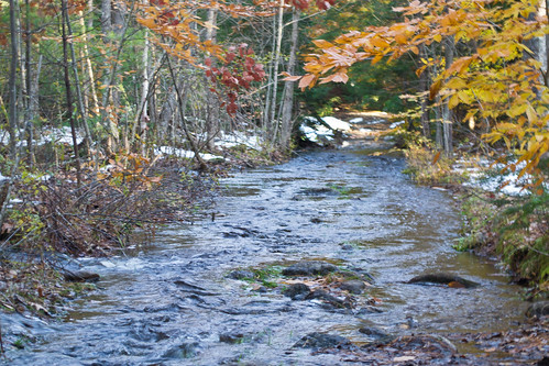road new old wild england abandoned public water leaves rock forest waterfall carved woods stream natural flood country smooth newhampshire conservation nh falls foliage upper granite land access brook flowing geology vernon mont beech feature attraction purgatory glaciation lyndeborough