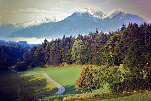 autumn forest austria tirol berge alpen alpin obsteig