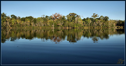 reflection nature texas scenic bayou pasadena armandbayou wanam3