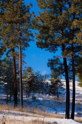blue autumn trees winter sky brown moon white mountain snow mountains tree green pine landscape hill scenic hills pines moons snags snag waning wane