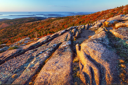 autumn fall sunrise landscape golden nationalpark horizon maine newengland glacier erosion granite barharbormaine acadia barharbor redleaves acadianationalpark fallseason autumnseason glacieraction