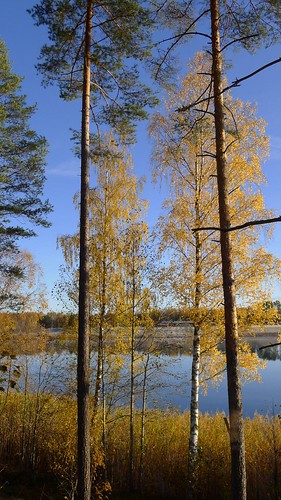 morning lake sweden sverige värmland lx5 forshaga acksjön