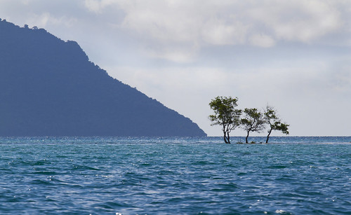 0120 Three trees in the sea--Sabah , Malaysia