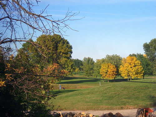 autumn trees sky color tree fall colors grass wisconsin golf landscape branch fallcolor fallcolors branches bluesky foliage golfing golfcourse greenery countryclub wi oshkosh foxrivervalley foxcities colfcourse foxrivercities lakeshoremunicipal