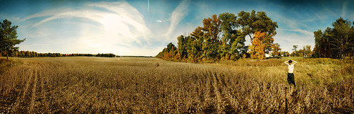 autumn trees portrait sky panorama usa fall colors field rural michigan country kalamazoo lawton